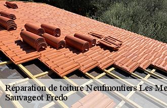 Réparation de toiture neufmontiers-les-meaux-77124 Sauvageot Fredo