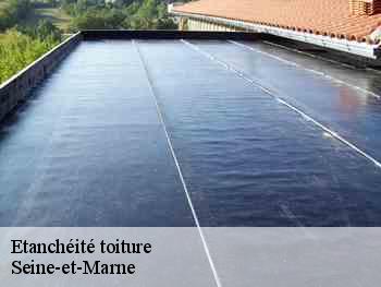 Etanchéité toiture Seine-et-Marne 