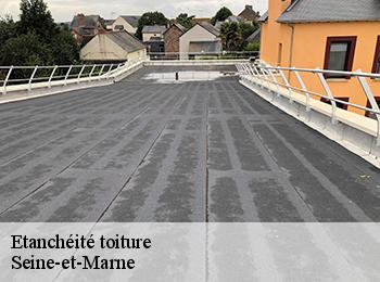 Etanchéité toiture Seine-et-Marne 