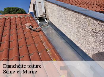 Etanchéité toiture Seine-et-Marne 