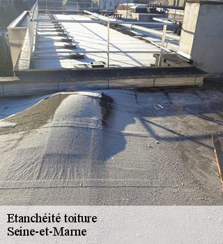Etanchéité toiture Seine-et-Marne 