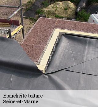 Etanchéité toiture Seine-et-Marne 