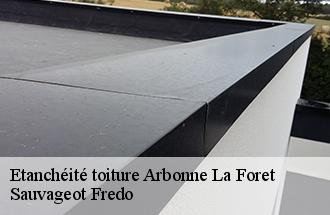 Etanchéité toiture arbonne-la-foret-77630 Sauvageot Fredo