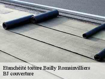 Etanchéité toiture  bailly-romainvilliers-77700 BJ couverture