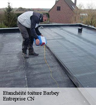 Etanchéité toiture  77130