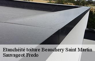 Etanchéité toiture beauchery-saint-martin-77560 Sauvageot Fredo