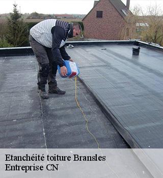 Etanchéité toiture 77620