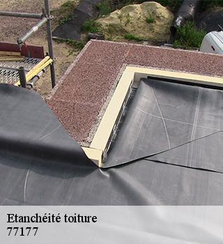 Etanchéité toiture 77177
