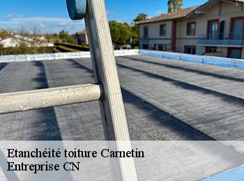 Etanchéité toiture  carnetin-77400 Entreprise CN