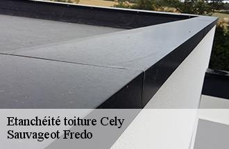 Etanchéité toiture cely-77930 Sauvageot Fredo