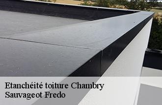 Etanchéité toiture chambry-77910 Sauvageot Fredo