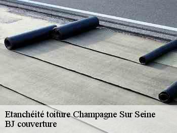 Etanchéité toiture  champagne-sur-seine-77430 BJ couverture