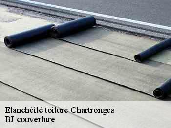 Etanchéité toiture  chartronges-77320 BJ couverture