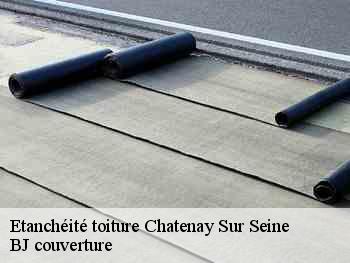 Etanchéité toiture  chatenay-sur-seine-77126 BJ couverture