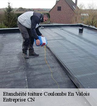 Etanchéité toiture 77840