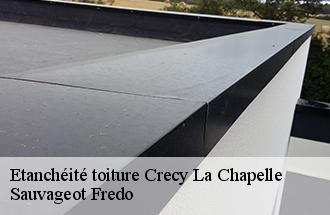 Etanchéité toiture  crecy-la-chapelle-77580 Sauvageot Fredo