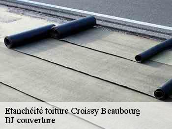Etanchéité toiture  croissy-beaubourg-77183 BJ couverture