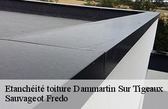 Etanchéité toiture  dammartin-sur-tigeaux-77163 Sauvageot Fredo
