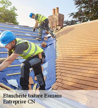 Etanchéité toiture  77940