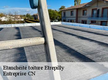 Etanchéité toiture  etrepilly-77139 Entreprise CN