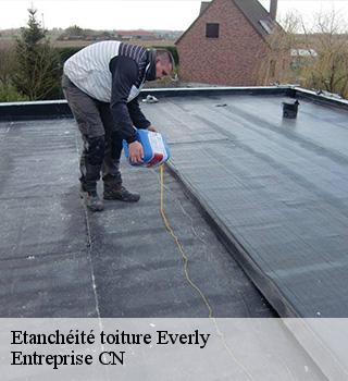 Etanchéité toiture 77157