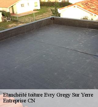 Etanchéité toiture 77166