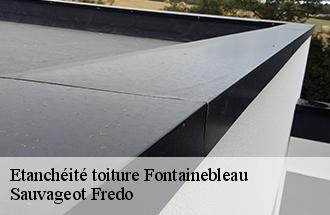 Etanchéité toiture fontainebleau-77300 Sauvageot Fredo