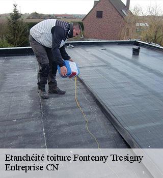 Etanchéité toiture 77610