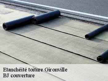 Etanchéité toiture  gironville-77890 BJ couverture