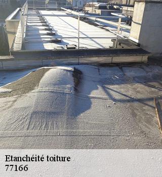 Etanchéité toiture 77166