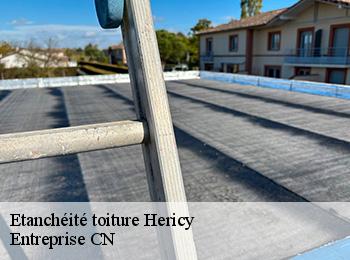 Etanchéité toiture  hericy-77850 Entreprise CN