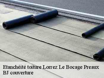 Etanchéité toiture  lorrez-le-bocage-preaux-77710 BJ couverture