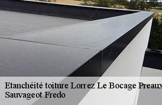 Etanchéité toiture  lorrez-le-bocage-preaux-77710 Sauvageot Fredo