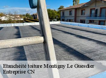 Etanchéité toiture montigny-le-guesdier-77480 Entreprise CN