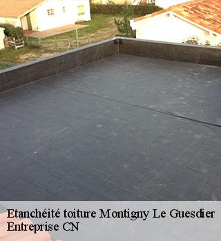 Etanchéité toiture 77480