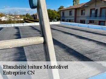Etanchéité toiture montolivet-77320 Entreprise CN
