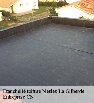 Etanchéité toiture 77540