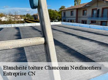 Etanchéité toiture chauconin-neufmontiers-77124 Entreprise CN