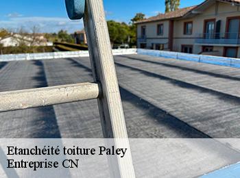 Etanchéité toiture paley-77710 Entreprise CN