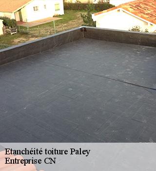 Etanchéité toiture 77710