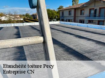 Etanchéité toiture pecy-77970 Entreprise CN