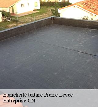 Etanchéité toiture  77580