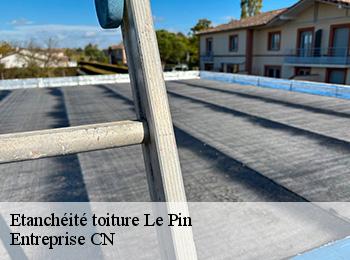 Etanchéité toiture le-pin-77181 Entreprise CN