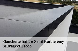 Etanchéité toiture saint-barthelemy-77320 Sauvageot Fredo