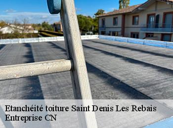 Etanchéité toiture  saint-denis-les-rebais-77510 Entreprise CN