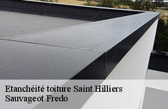 Etanchéité toiture saint-hilliers-77160 Sauvageot Fredo