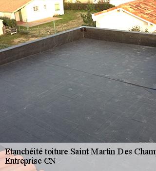 Etanchéité toiture 77320