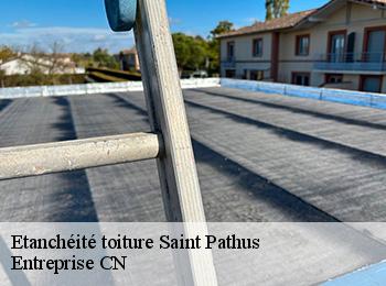 Etanchéité toiture saint-pathus-77178 Entreprise CN