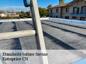 Etanchéité toiture savins-77650 Entreprise CN