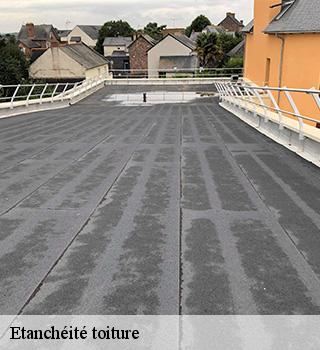 Etanchéité toiture 77240